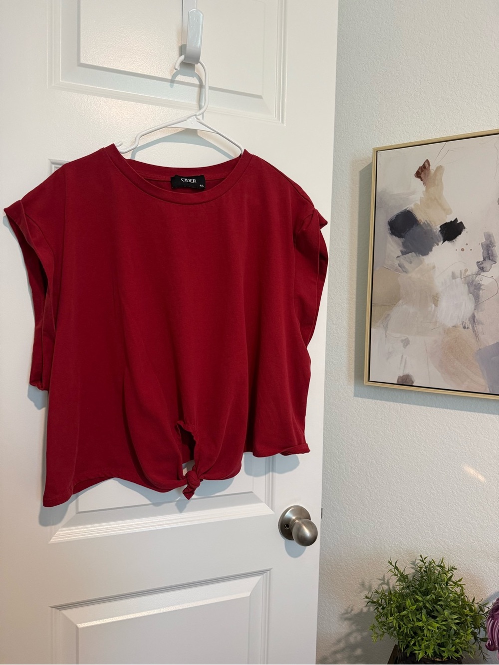 Cider Red Knot-Front Crop Tee Size 4X